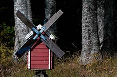 Windrad Birken - Zum Vergroessern klicken!